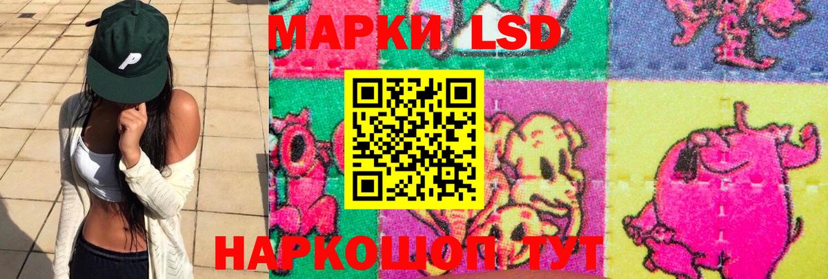 omg ссылки  Лсд 25 экстази кислота  Лсд 25 экстази ecstasy  Вход с VPN  Корсаков 