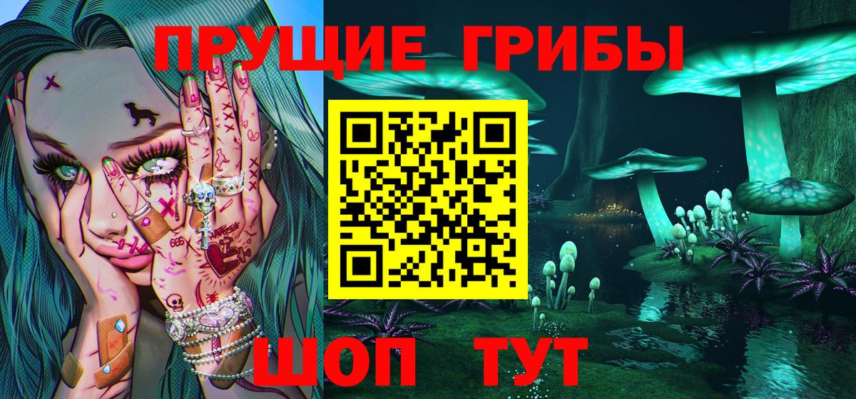 Корсаков  Псилоцибиновые грибы Psilocybe  Вход с VPN 