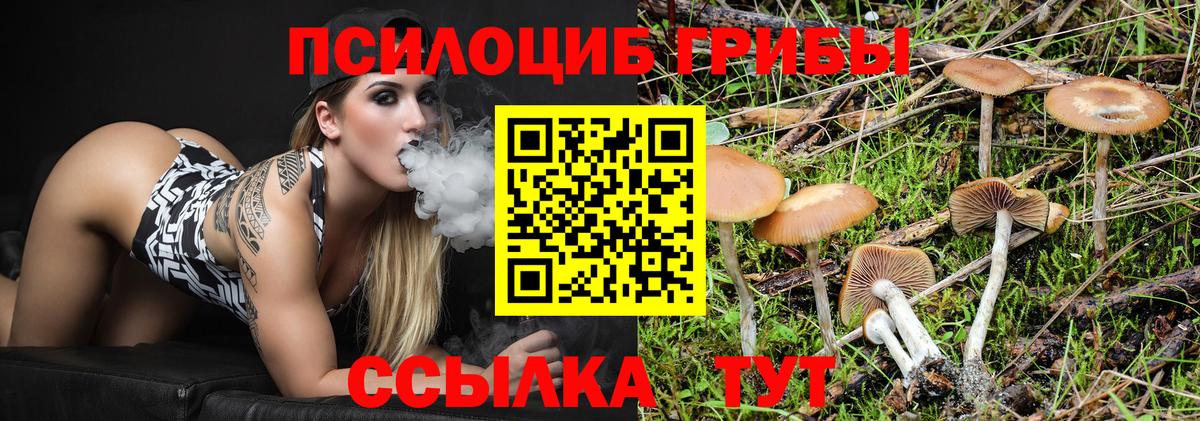 Галлюциногенные грибы GOLDEN TEACHER Корсаков